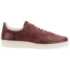 GSM „Copper Brown”