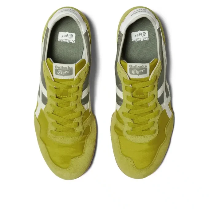 Serrano „Kelp Birch”